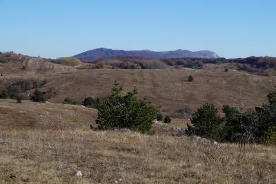 Прикрепленное изображение: A58DSC01541-1.jpg